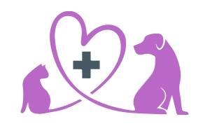 pet-health-care